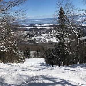 Meet your Posher, Sophie